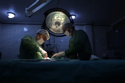 Controllo della tracciabilità di substrati medici specializzati: conformità c...
